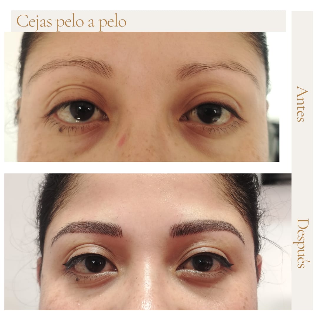 Técnica pelo a pelo por Natalia Pinzón